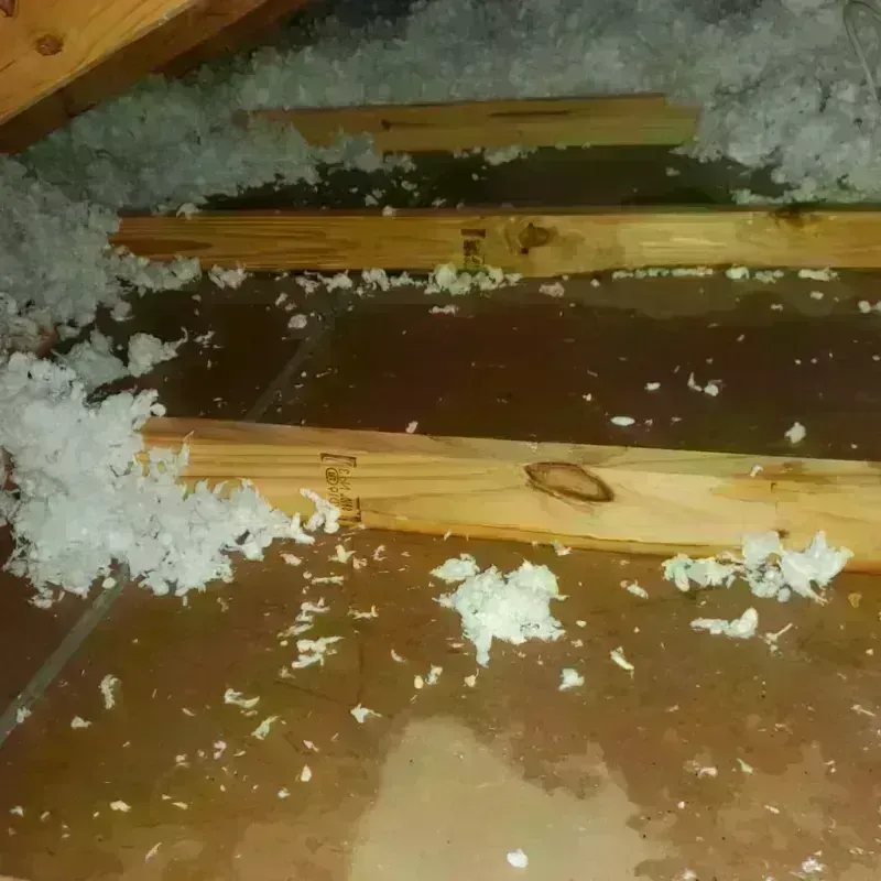 Attic Water Damage in Bell, CA