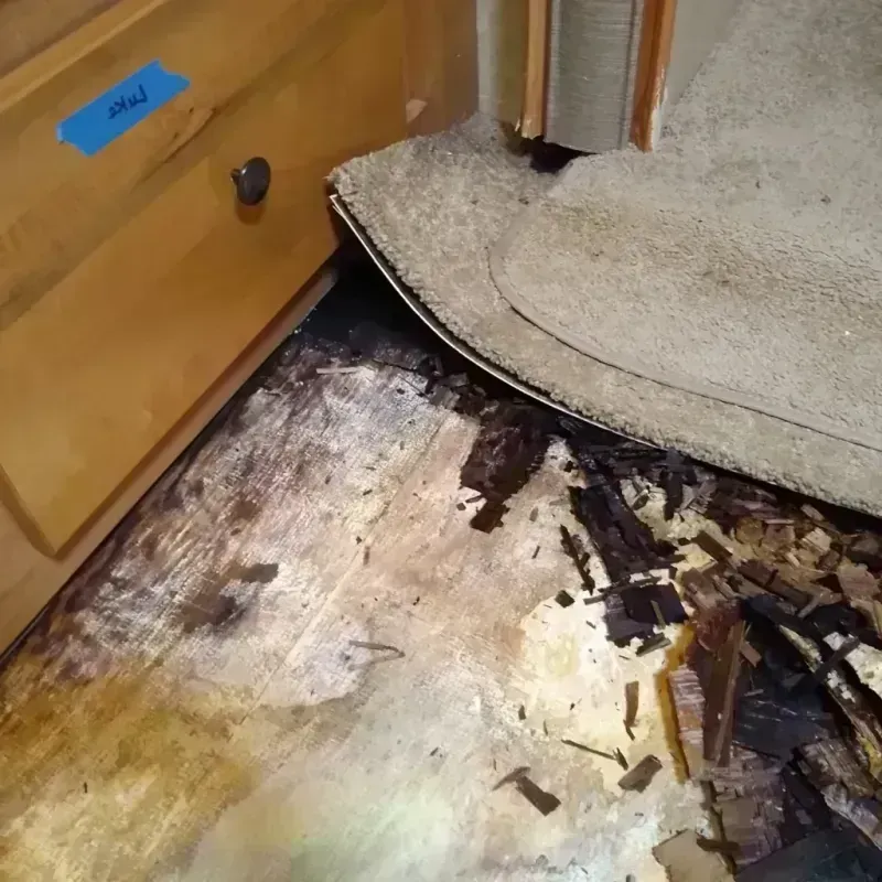 Wood Floor Water Damage in Bell, CA